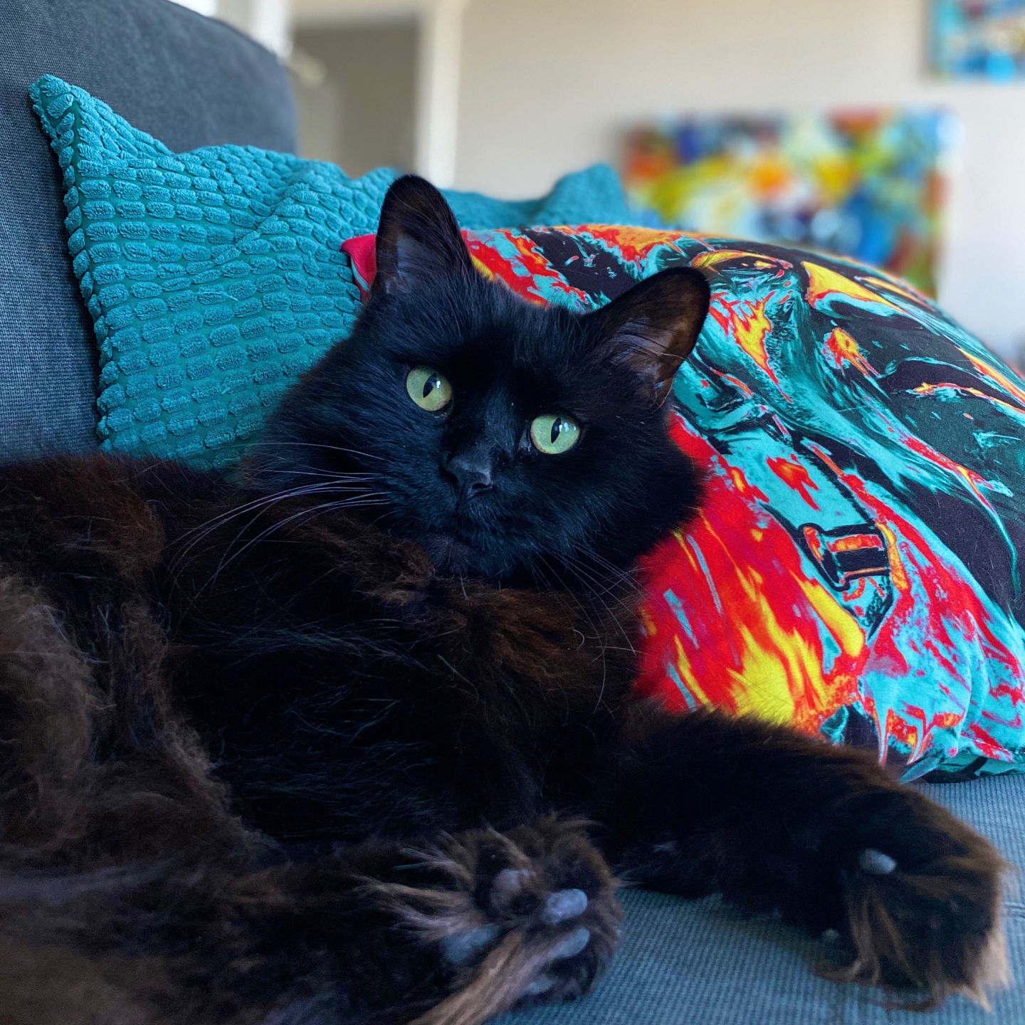 Gracie